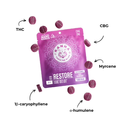 FX Restore