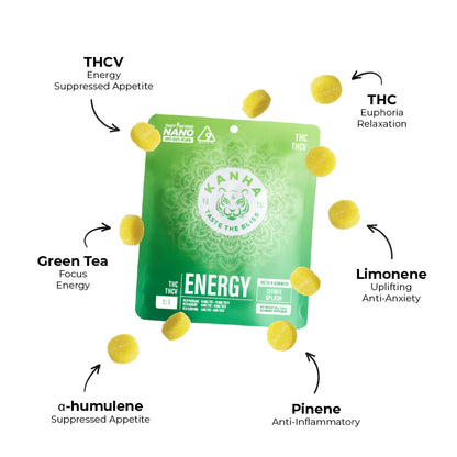 EVERYDAY ESSENTIALS PACK