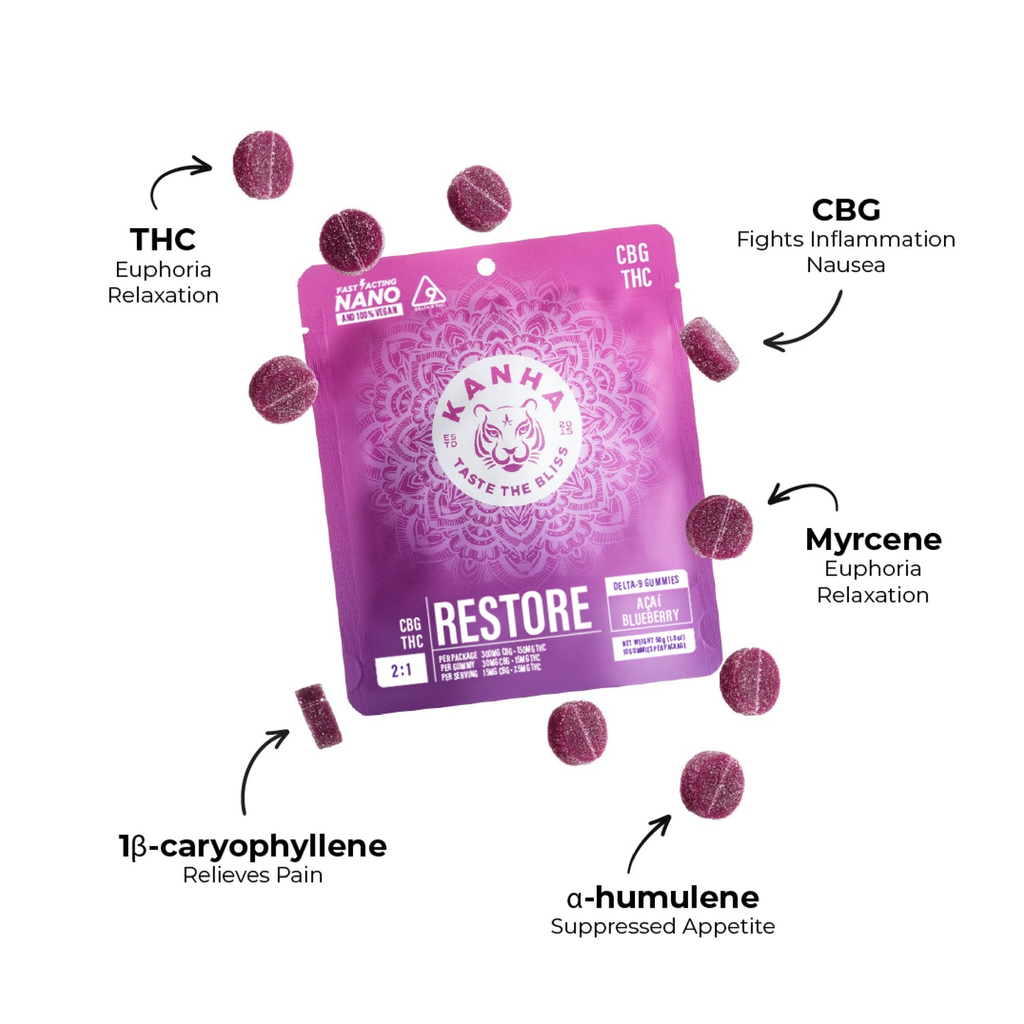 EVERYDAY ESSENTIALS PACK