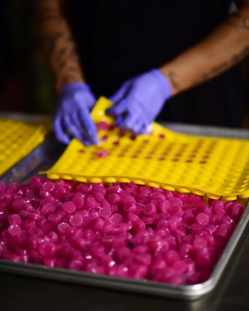 Image of fast-acting NANO hybrid watermelon gummies being taken out of their mold by someone wearing gloves